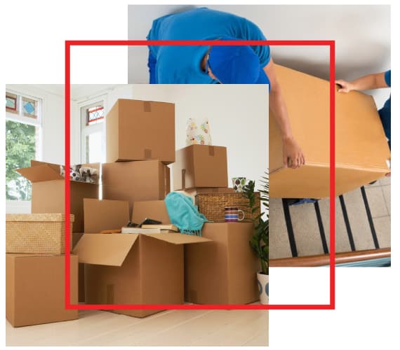 Why Choose Furniture Movers Perth For Your Service?